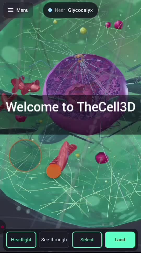 Flying toward the cell membrane